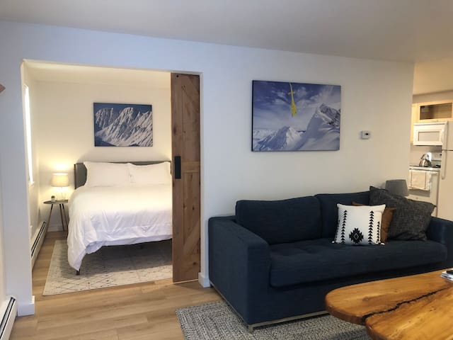 New Ski Condo. 1bed + sofabed. Steps to free bus.