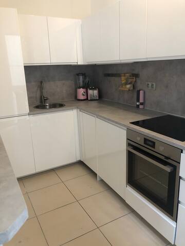 Grand T3 lyon confluence avec 2 balcons vue Saône gallery image 5