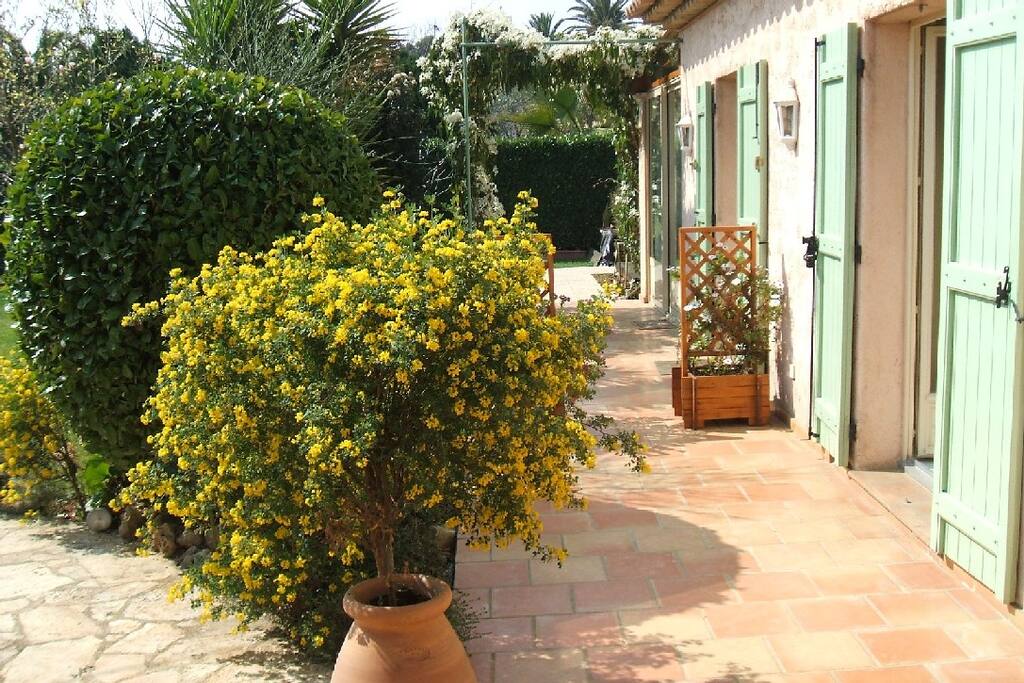 Terrasse Sud