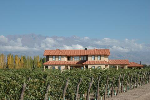 Villa among vines Uco valley with pool and golf