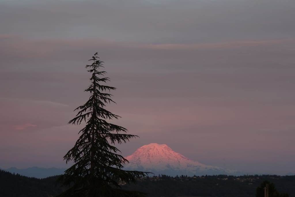 Mt Rainier from the front deck