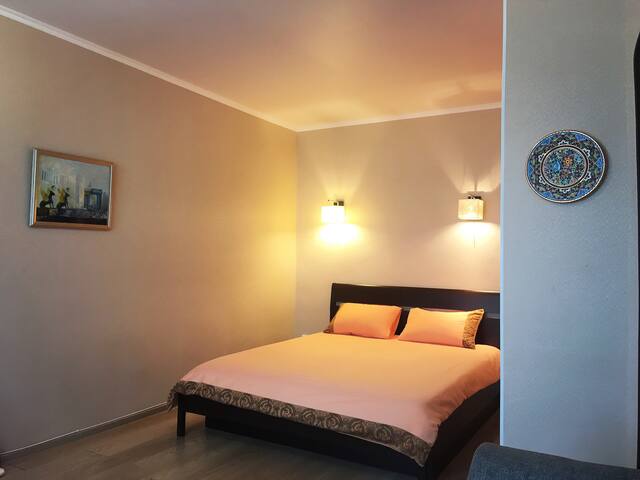 Уютная однокомнатная квартира в центре Пушкина