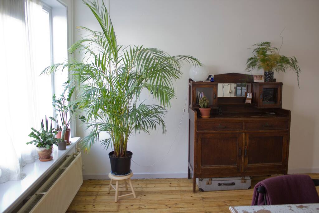 Living room with view on the street