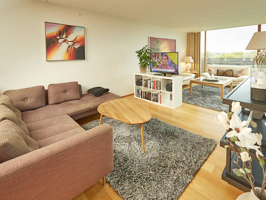 Sofa with television and Netflix