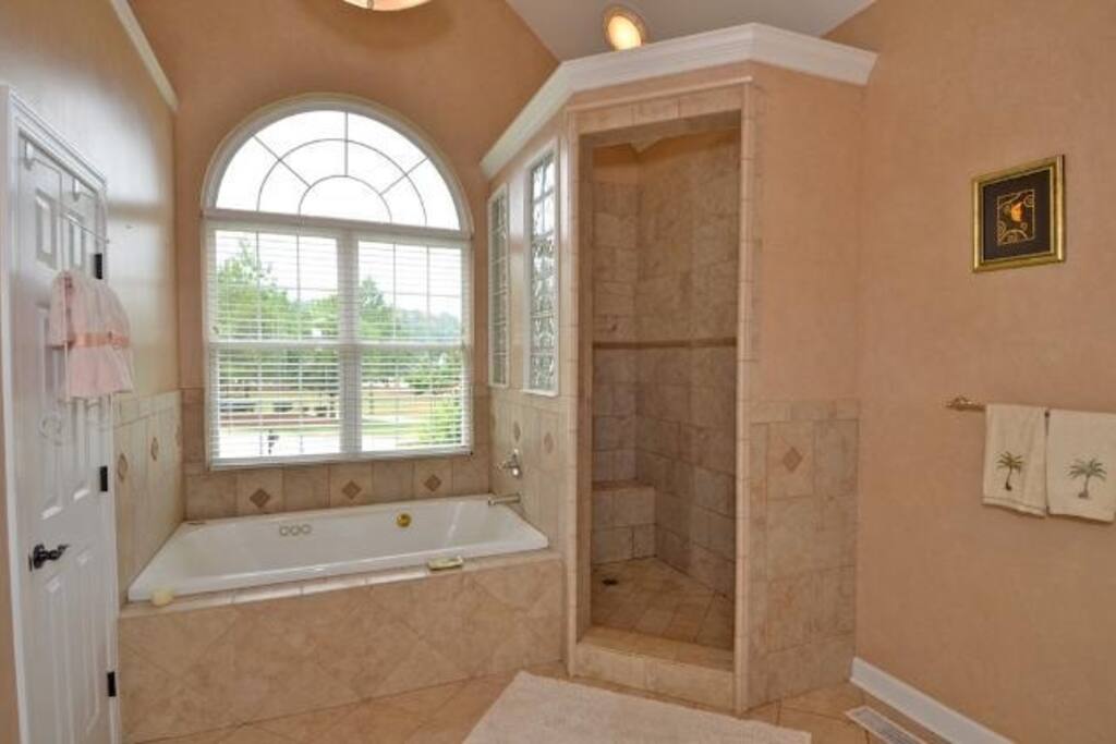 Oversized jacuzzi tub and shower