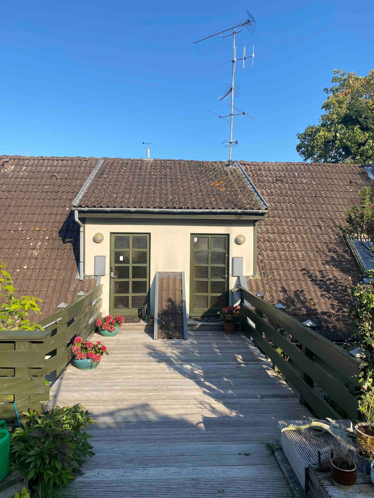 A wooden deck leads up to a charming entrance featuring two glass-paned doors framed by greenery. Flower pots add a touch of color, while a sloped roof and clear blue sky create a serene backdrop.