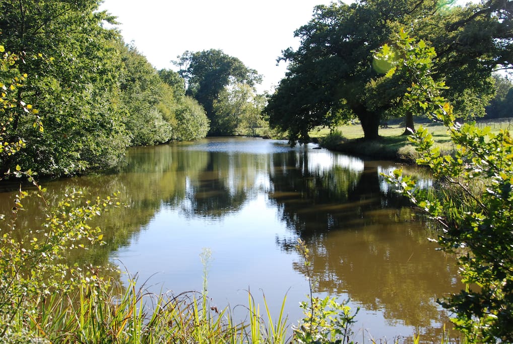 Etang et parc