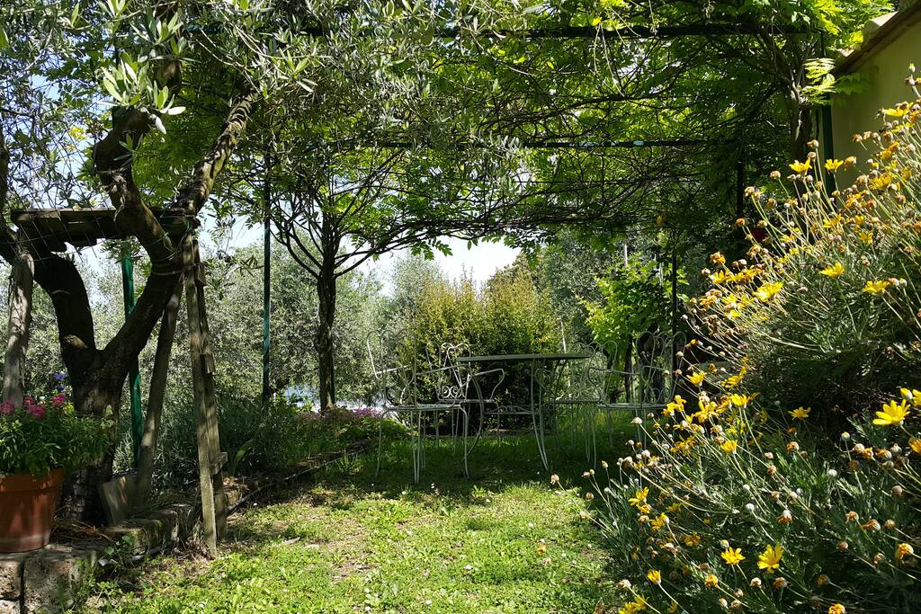 Il chiostro del glicine