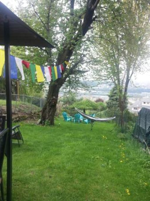Top of Backyard