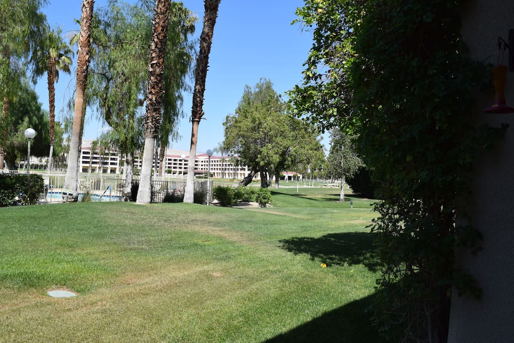 desert princess hotel-walking distance- bars,restaurants, pool