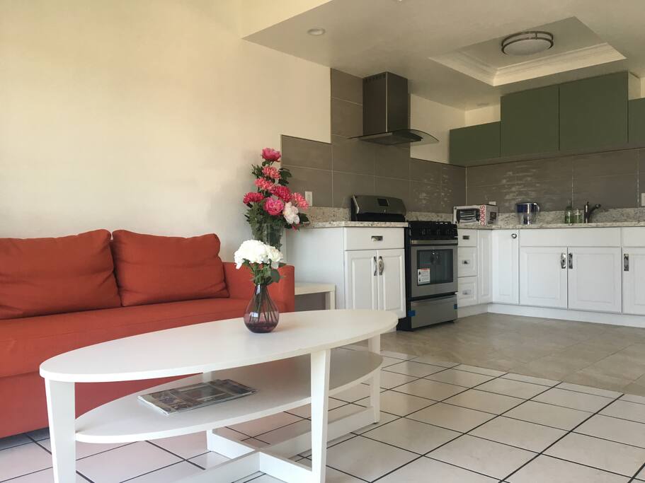 Modern Kitchen