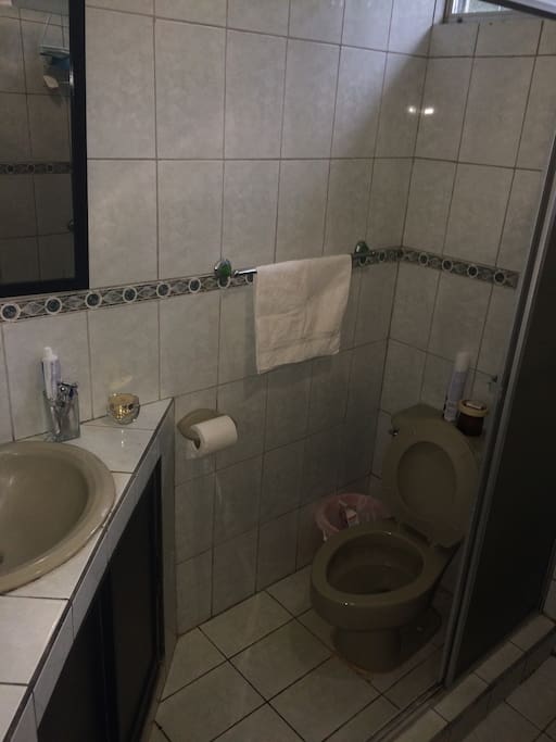 Clean toilet and very fresh water shower (No hot water)
