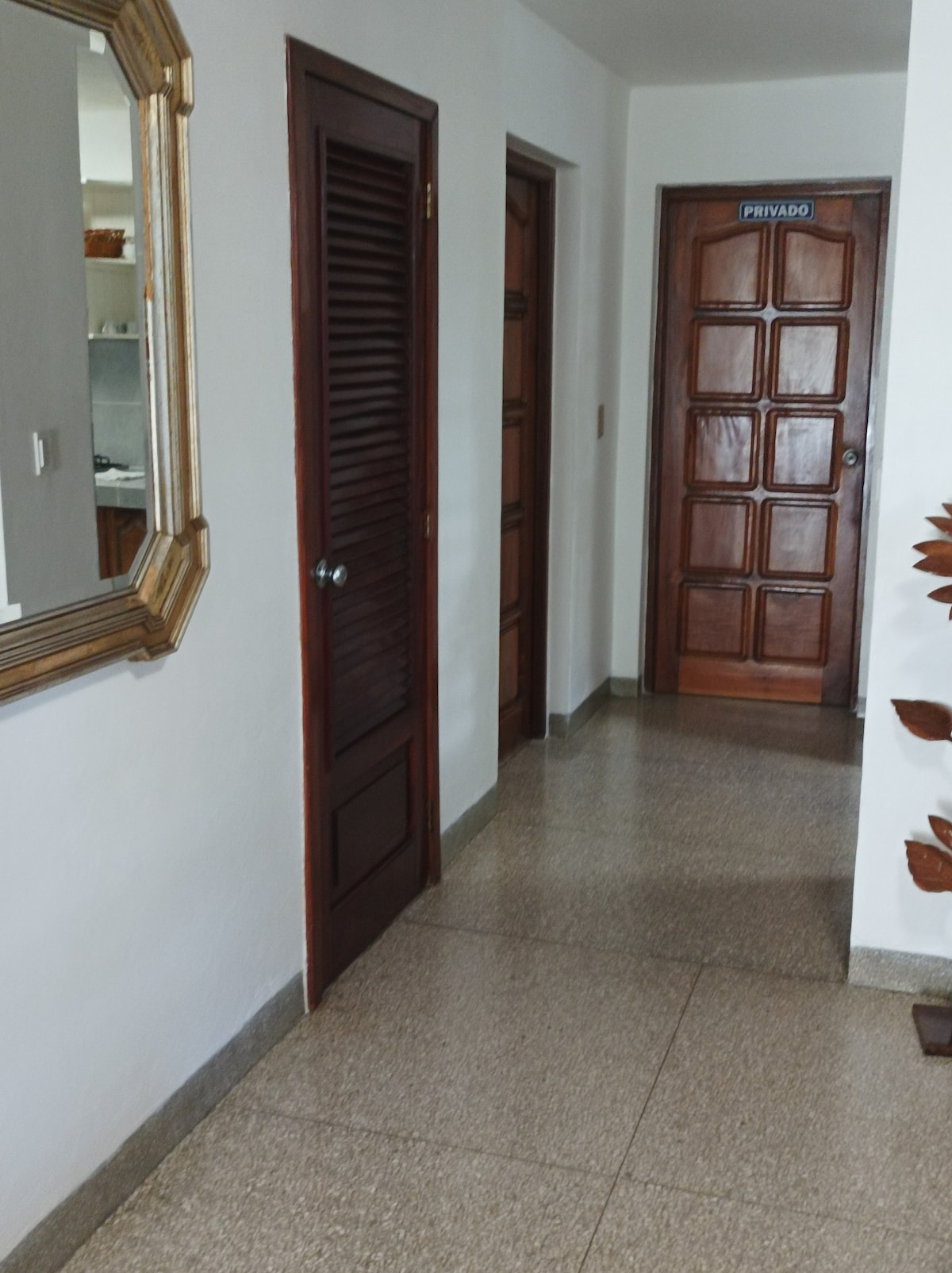 A hallway is depicted with light-colored walls and a polished floor. Two doors are visible, one with horizontal slats and the other featuring a grid pattern. A mirror framed in gold is mounted on the left wall, reflecting the spaciousness of the area.