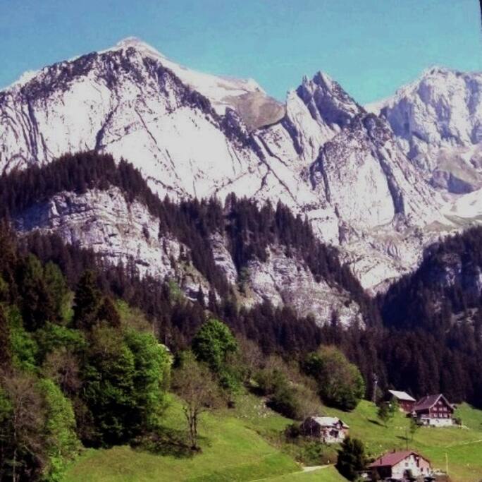 Studio- Aussicht
