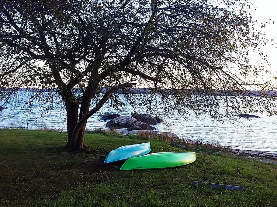 Rent a kayak from the nearby Oakland House and explore the Reach!