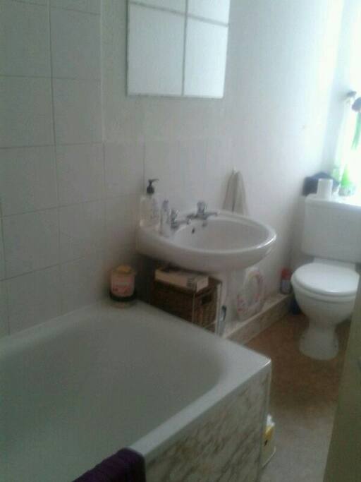 The toilet