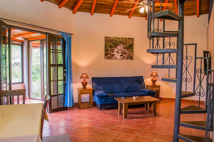 1-BR Riverfront apartment with extra sleeping loft