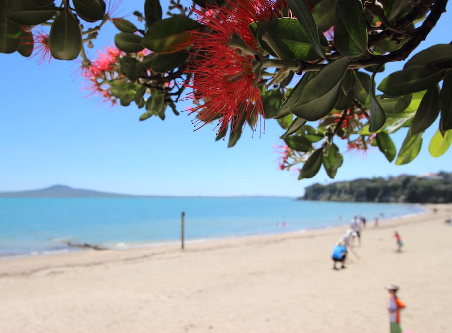 Typical summer on St Heliers beach.