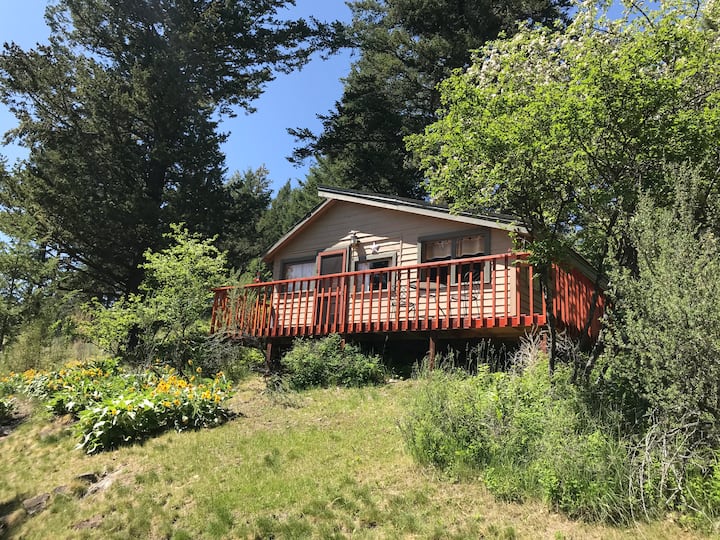 Fort Rollins Bed & Breakfast, The Orchard Cabins for Rent in Rollins