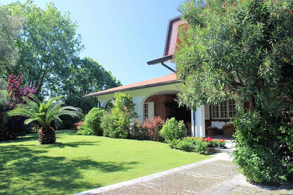 garden