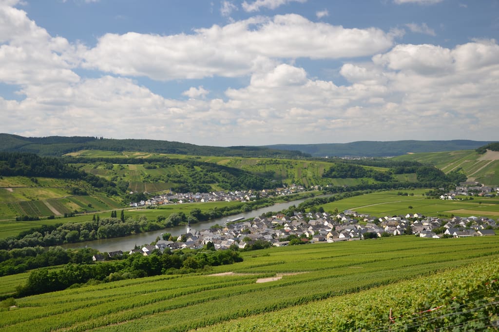 Detzem aus den Weinbergen