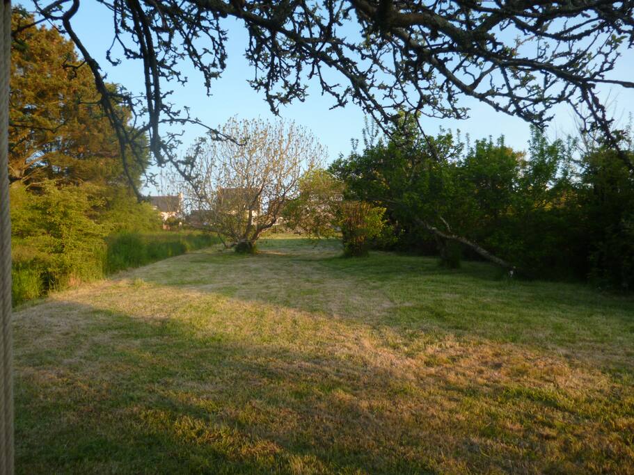 Un grand jardin arboré et très bien orienté