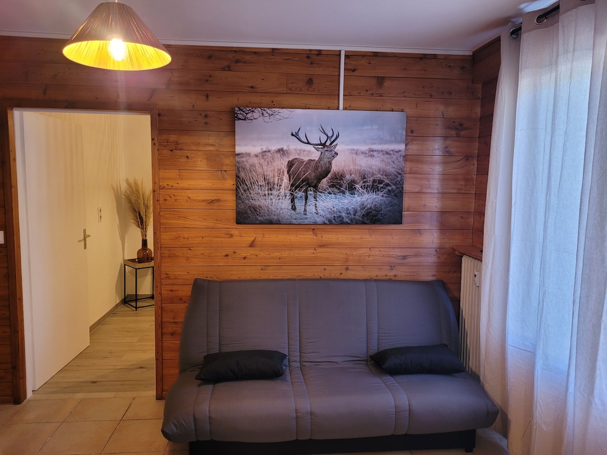 Successful Airbnb property: 2-room apartment in the center of Valberg in Péone