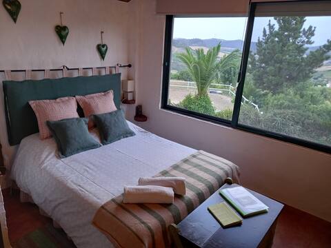 Casinha de campo - nature and horses