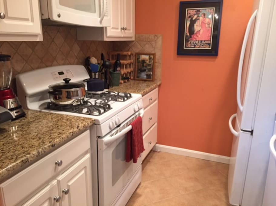 Italian Style Full Amenities Kitchen- Fridge, Freezer, Stove, Oven, Dishwasher, Disposal