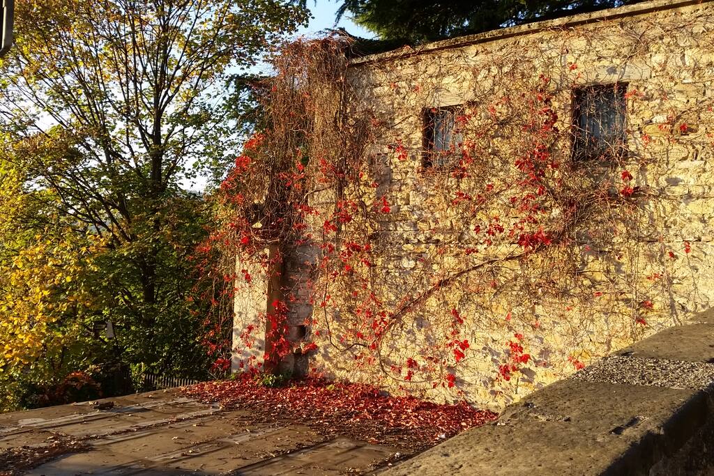 Old building in Bergamo
