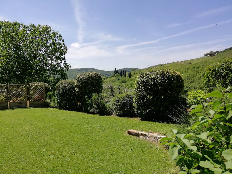 Il giardino