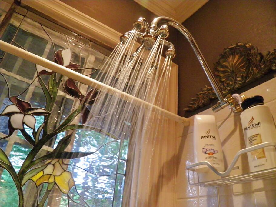 This may be the BEST shower head EVER!
