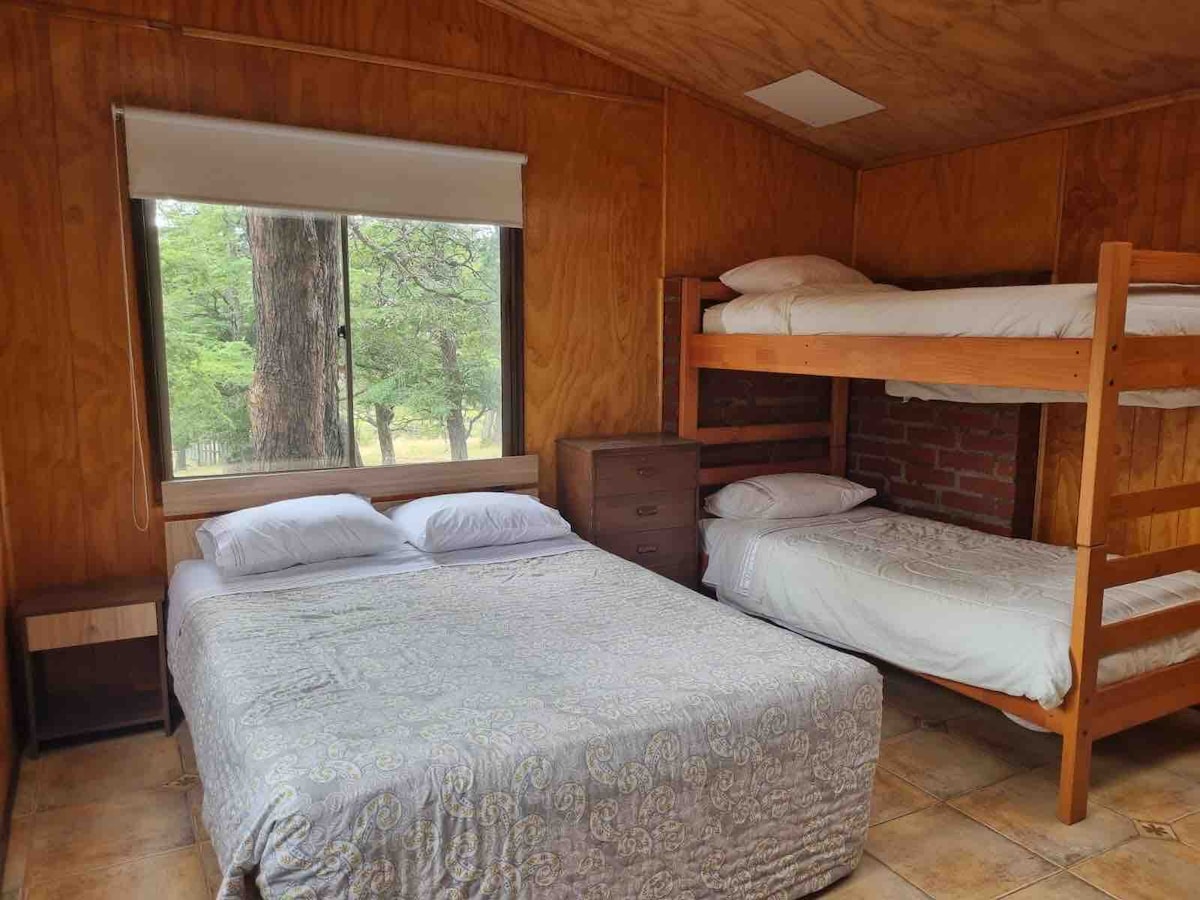 A cozy bedroom features a spacious bed and a wooden bunk bed accommodating multiple guests. Natural light filters through a large window, which offers a view of the surrounding trees. Wooden walls and tiled flooring create a warm atmosphere.