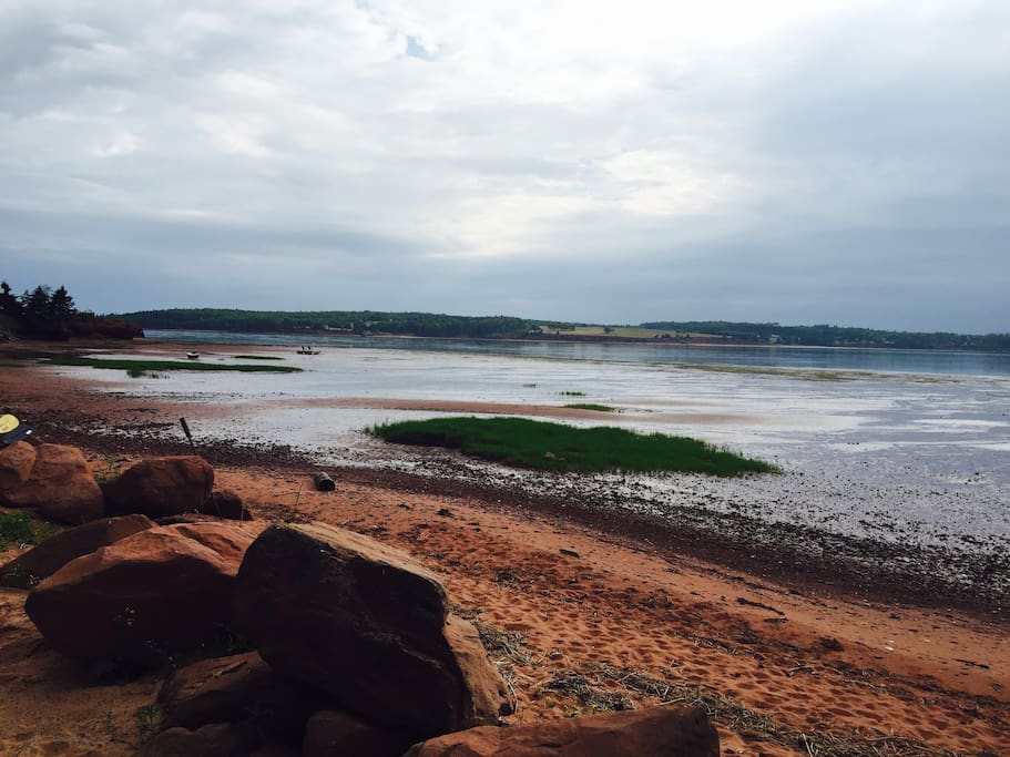 Pink sandy beach