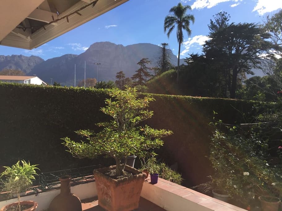 Gorgeous mountain views from the patio...only the main bedroom has a better view!