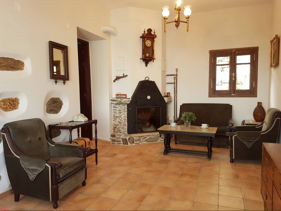The living room with the fireplace and the vintage furniture.