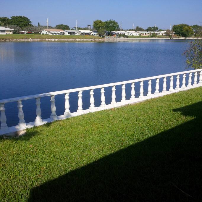 backyard view
