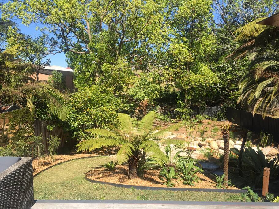 Back yard with winding lawn path down to the creek