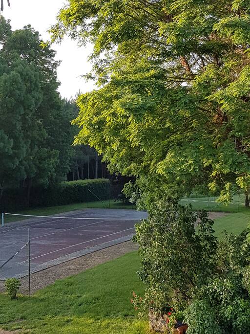 Le court de tennis