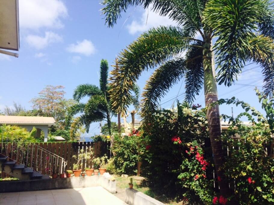 The building is surrounded by the palm trees and pretty flowers