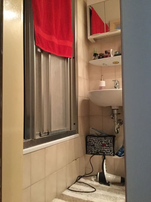 Blick auf die Dusche.