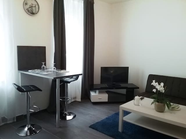 Airbnb Mulhouse Holiday Rentals Places To Stay