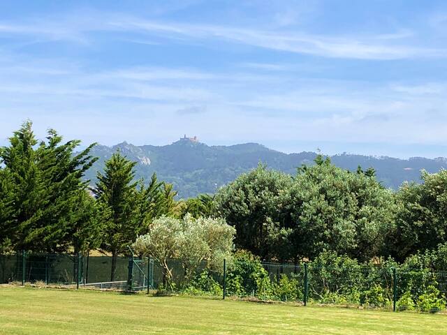 Quinta das Oliveiras gallery image 5