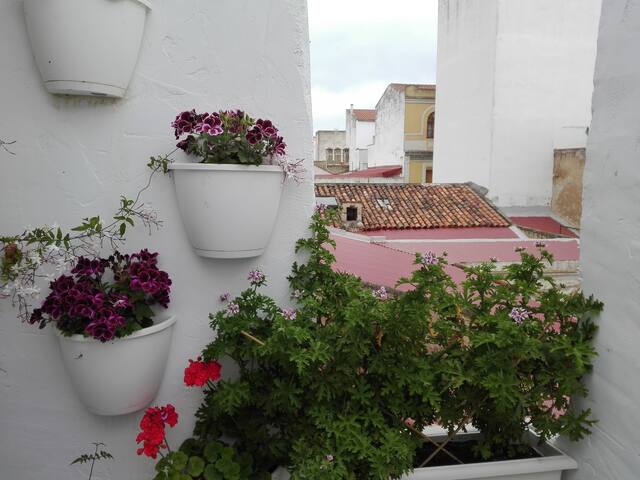 APARTAMENTO CENTRICO Y LUMINOSO .