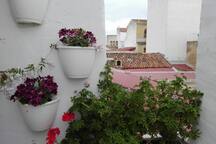 APARTAMENTO CENTRICO Y LUMINOSO .