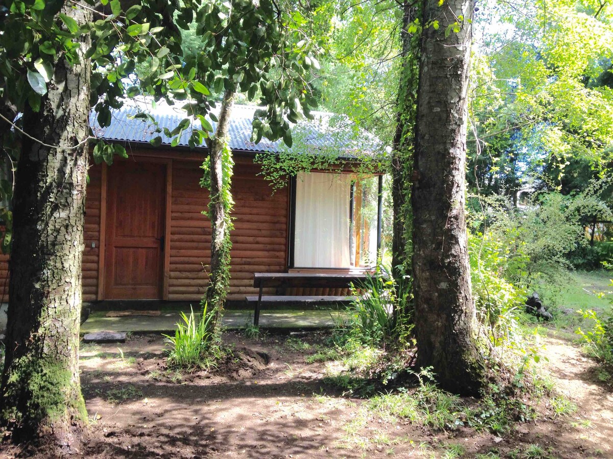 A wooden cabin is partially visible among lush greenery, featuring a door made of natural wood and a large window adorned with white curtains. A bench is positioned outside, offering a place to relax and enjoy the surrounding nature.