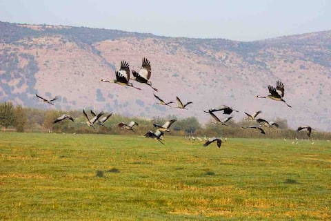 Holiday home in the Golan