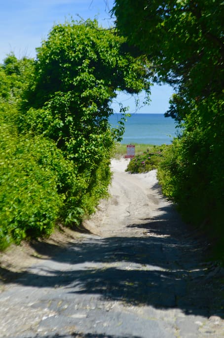 1 Minute walk down path to Nauset Beach