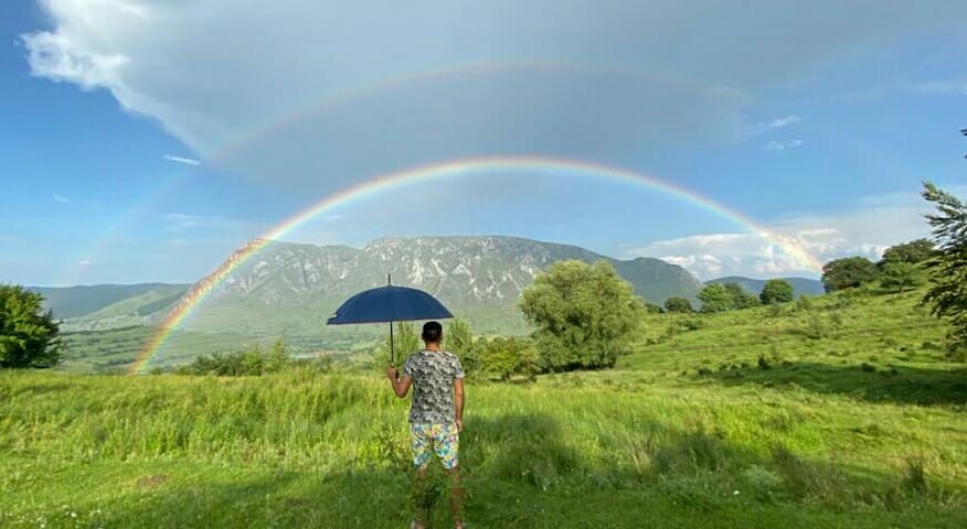 🌷🐝🌼 Remote😰 Tiny House🌻🛀🌷