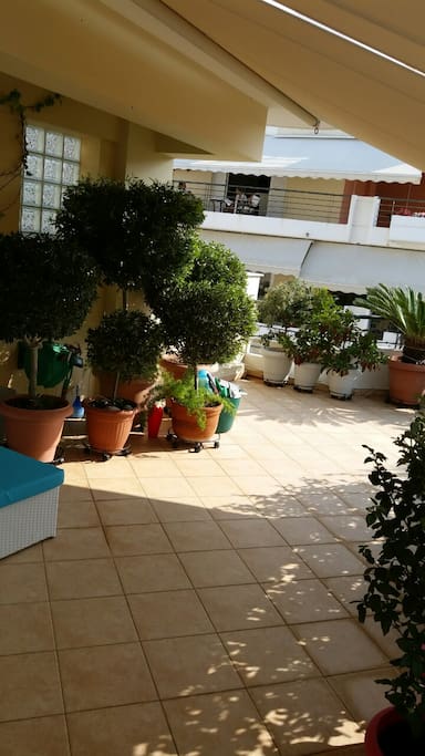 balcony view 5